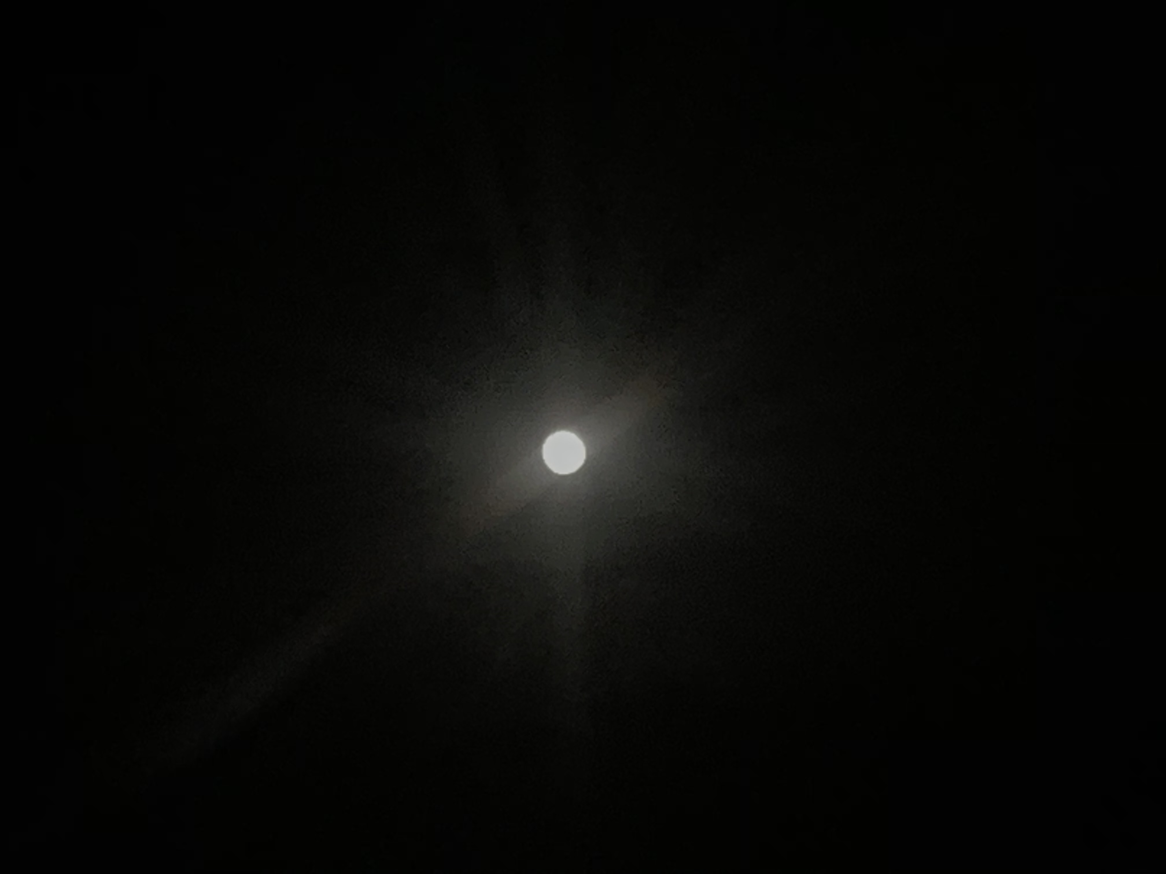 The moon is so bright.